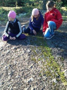 Emilia, Kukka ja Anni tutkimassa jääkauden jälkiä Natturilla. Kuva Toni 6.lk