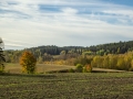 Rauni-Pakkala-6727